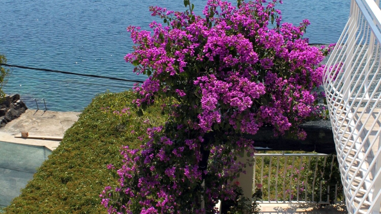 Photo of Outdoor in Molunat