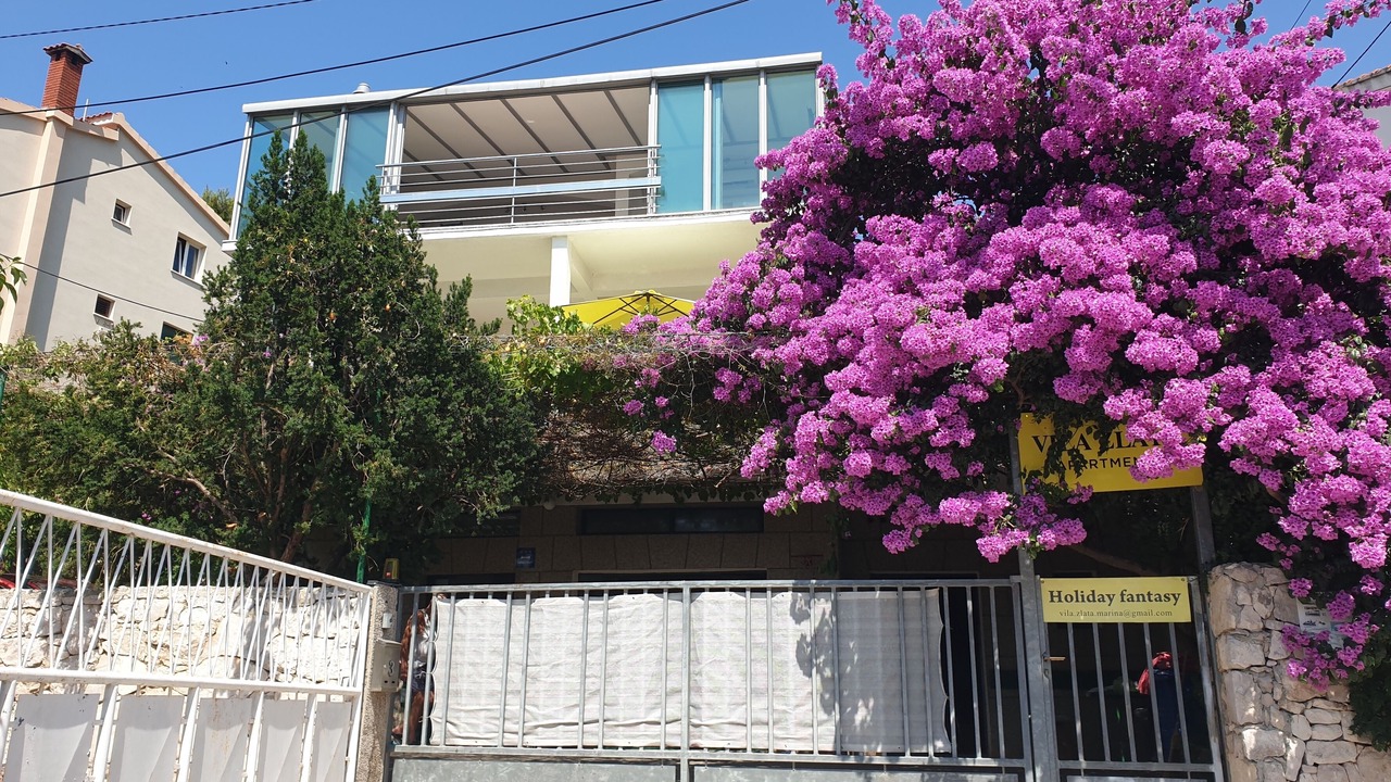 Photo of Outdoor in Marina