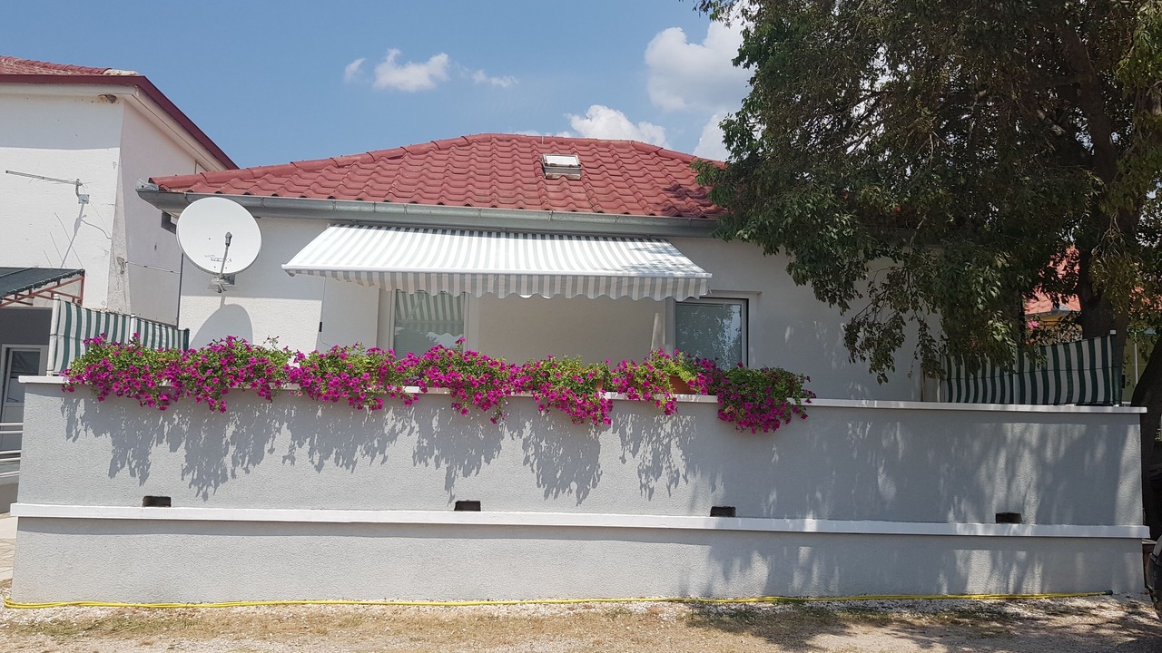 Photo of Outdoor in Seline