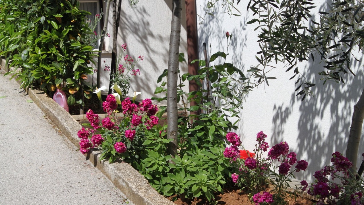 Photo of Outdoor in Vintijan