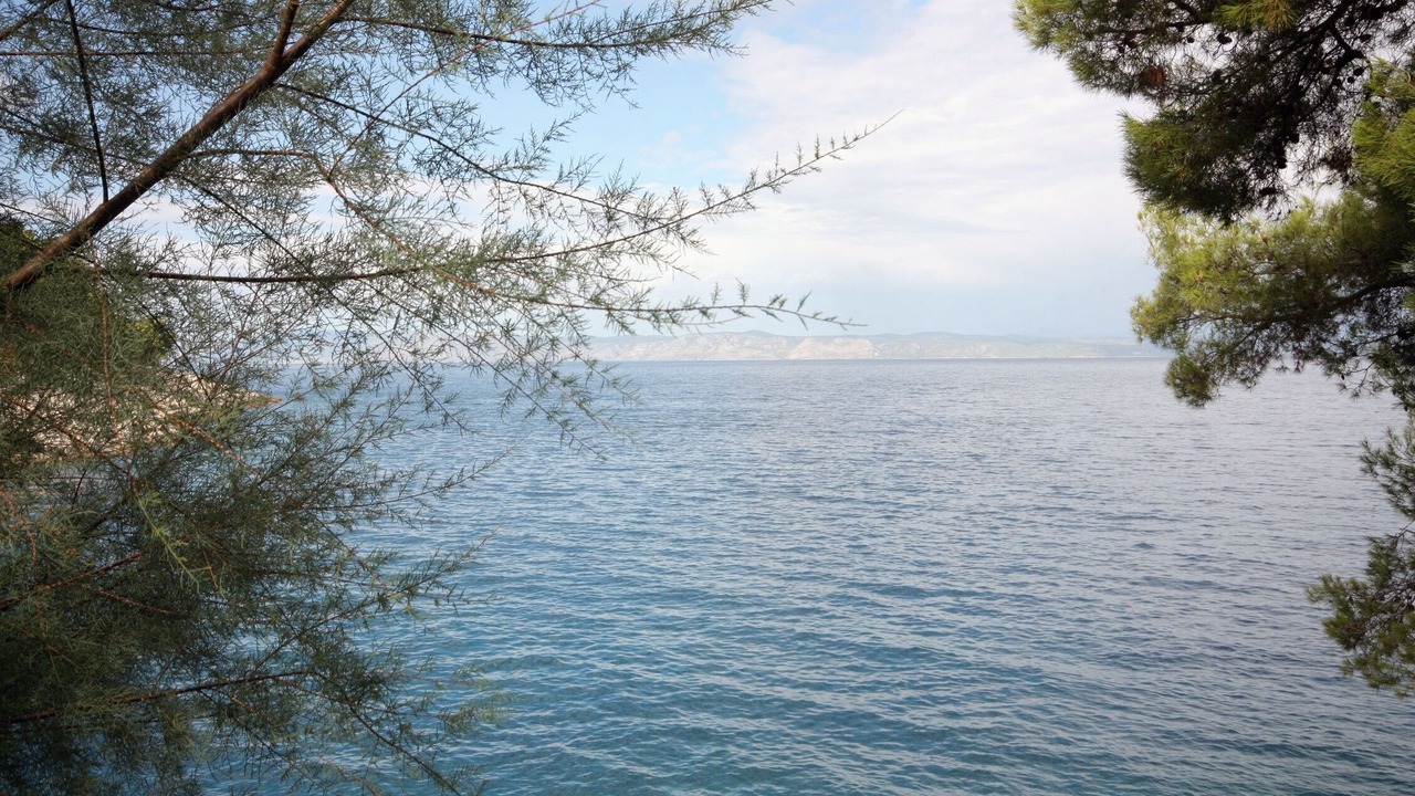 Photo of Others in Gdinj