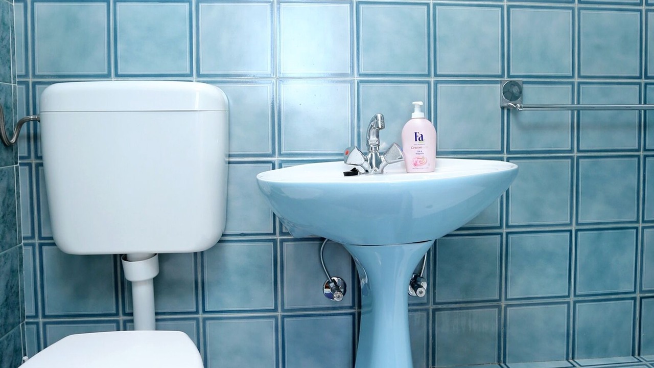 Photo of Bathroom in Trstenik