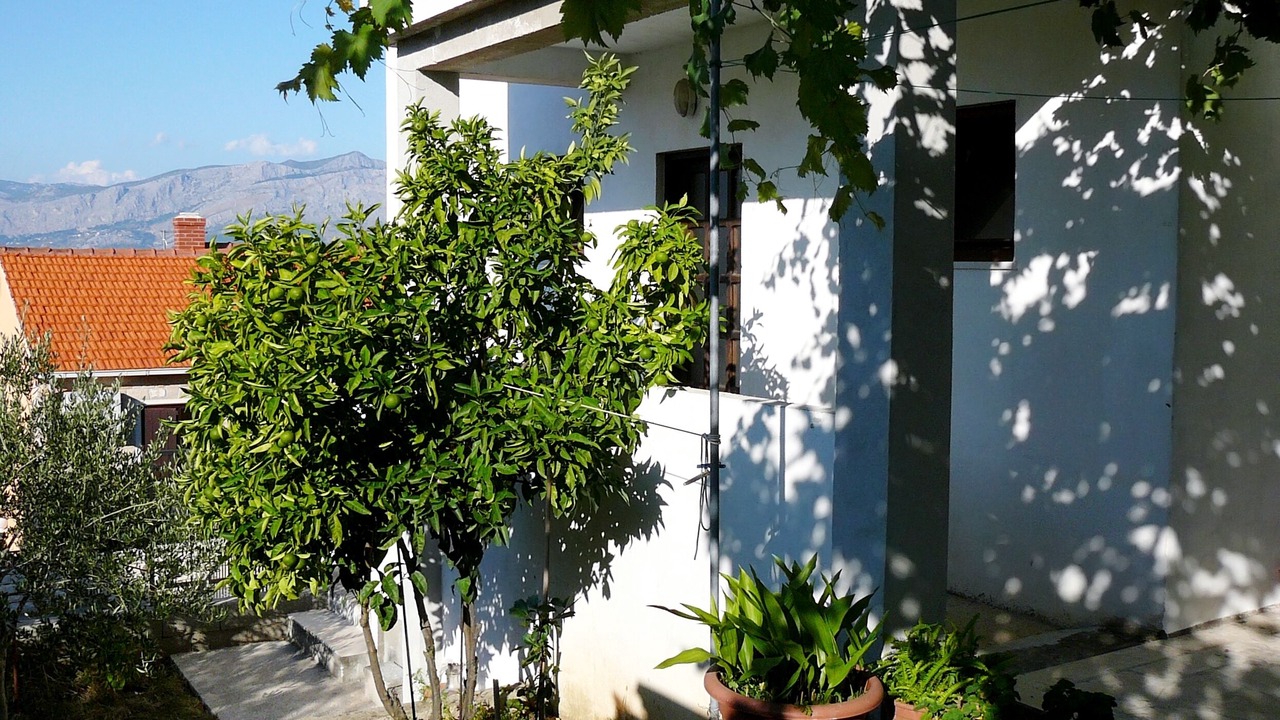 Photo of Outdoor in Postira
