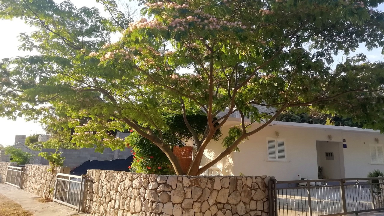 Photo of Outdoor in Kobas