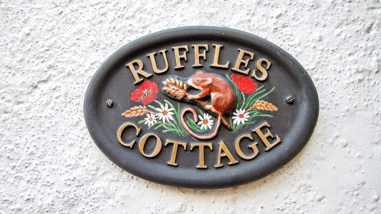 Photo of Others in Dunster