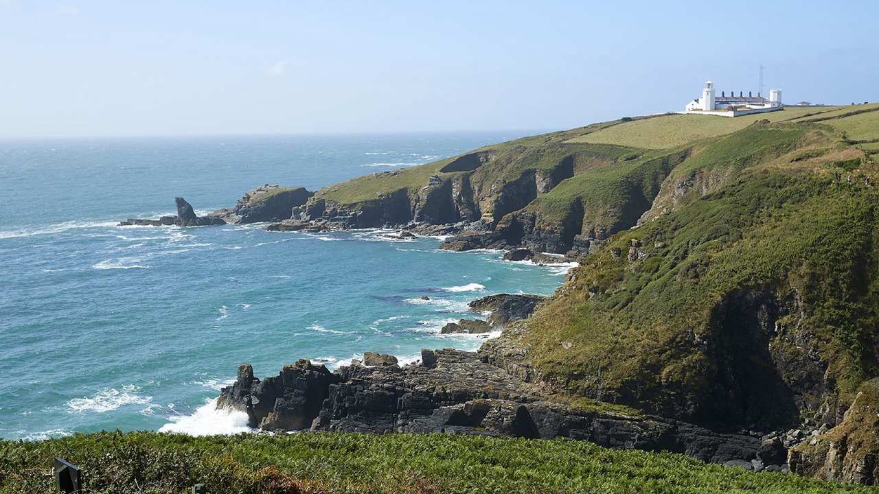 Photo of Others in The Lizard