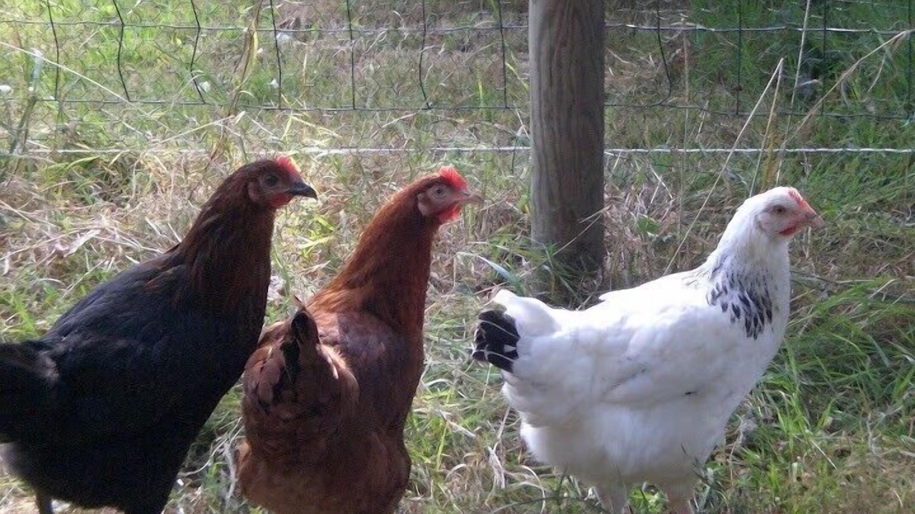 Photo of Others in Thubeuf