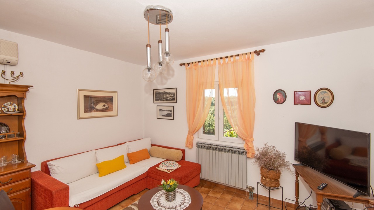 Photo of Livingroom in Molat