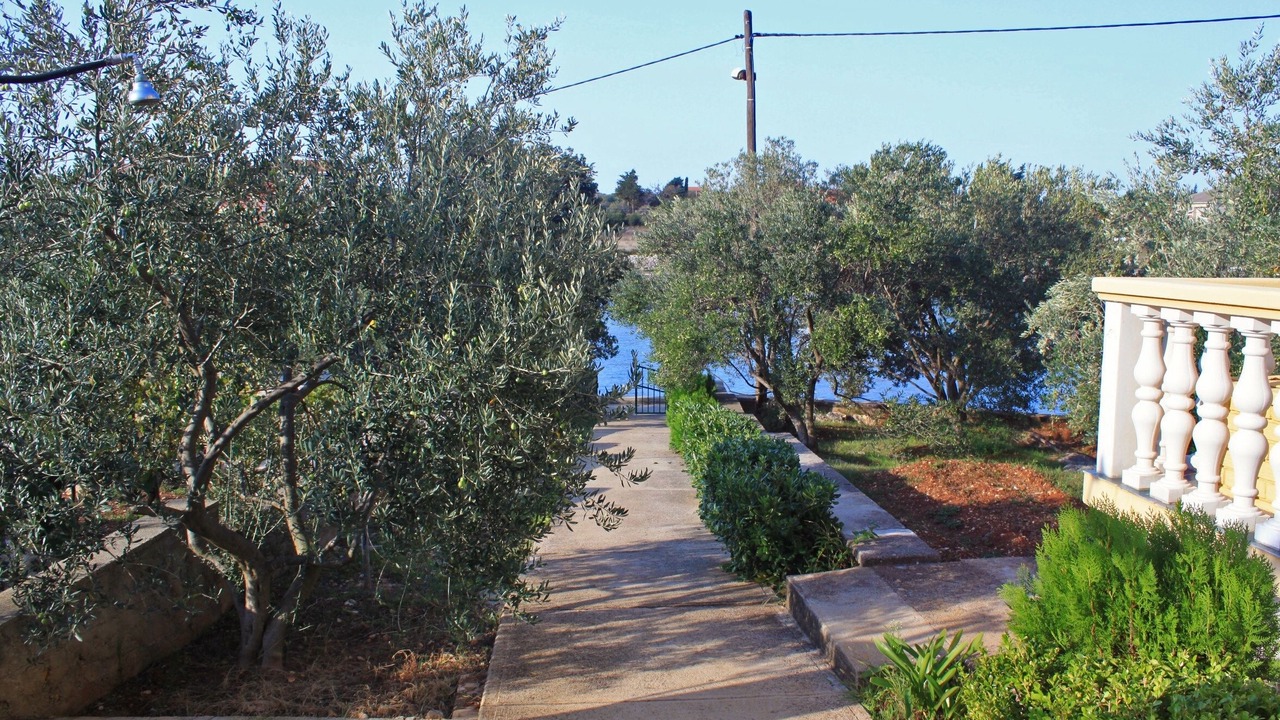 Photo of Outdoor in Ugljan