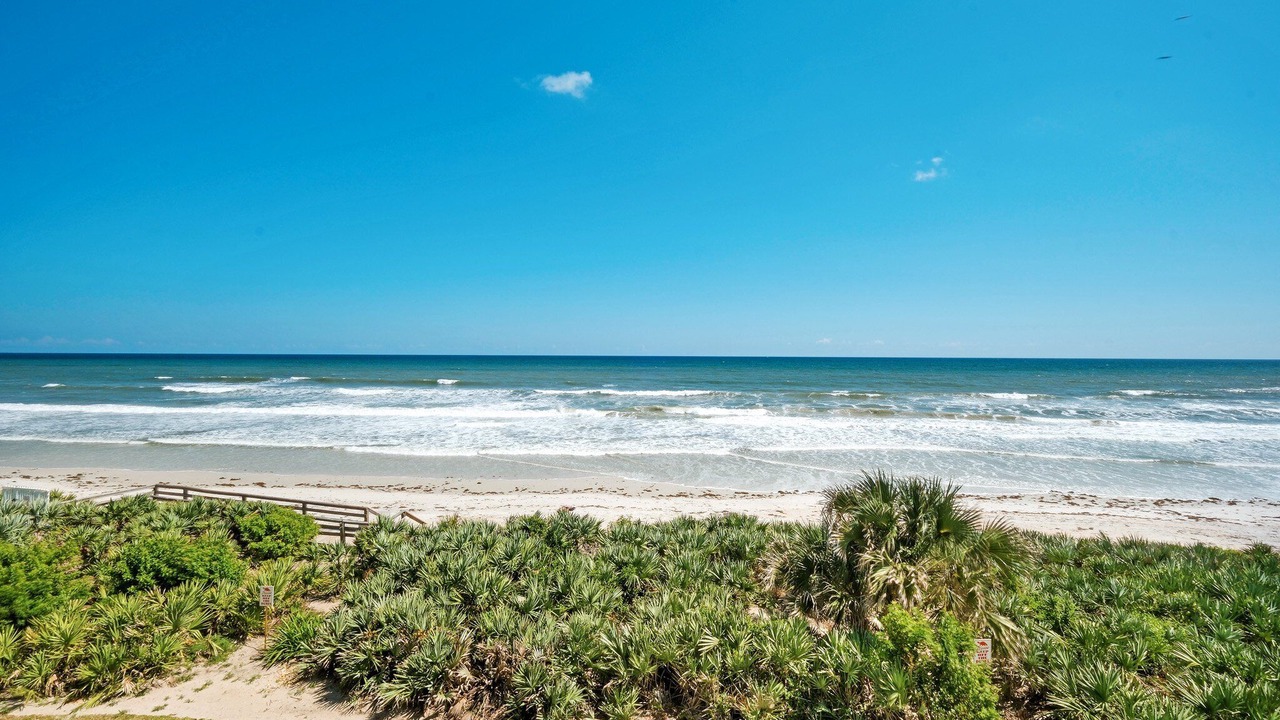 Photo of Others in New Smyrna Beach
