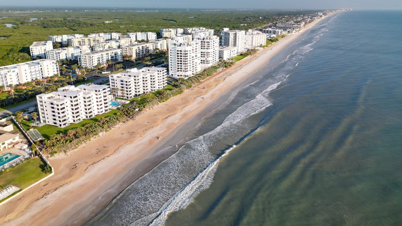 Photo of Others in New Smyrna Beach