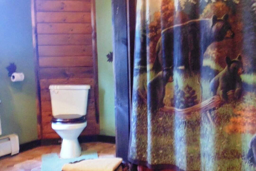 Photo of Bathroom in Athol