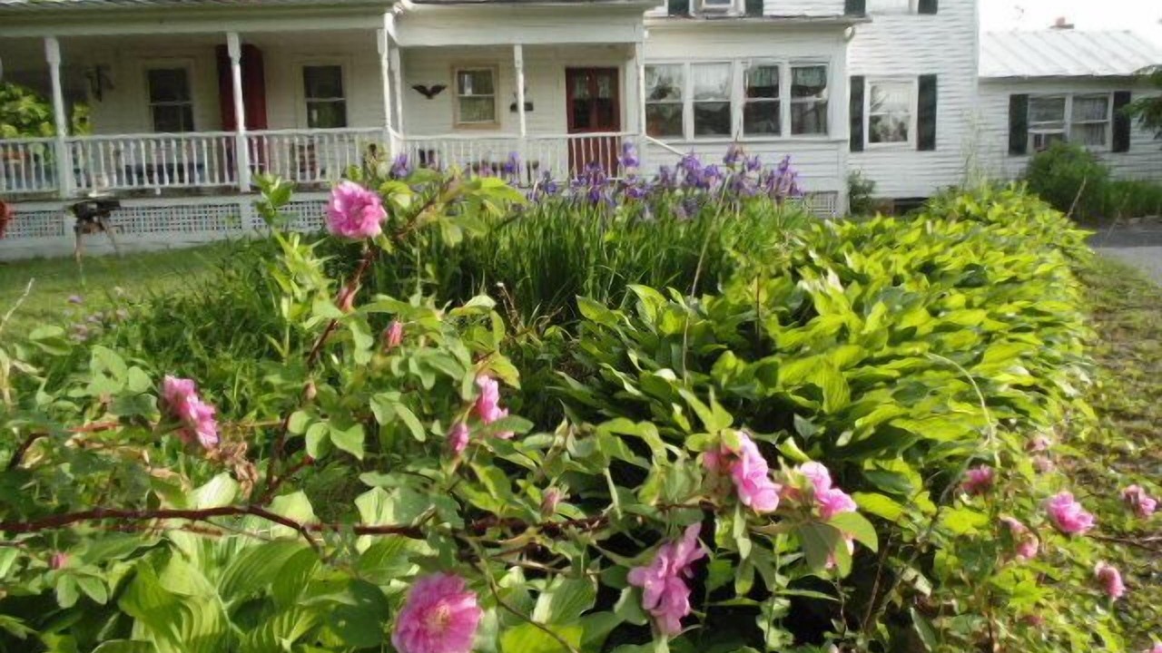 Photo of Outdoor in Athol