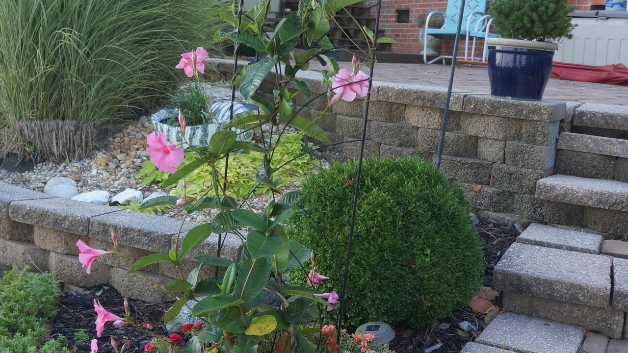 Photo of Outdoor in Laneview