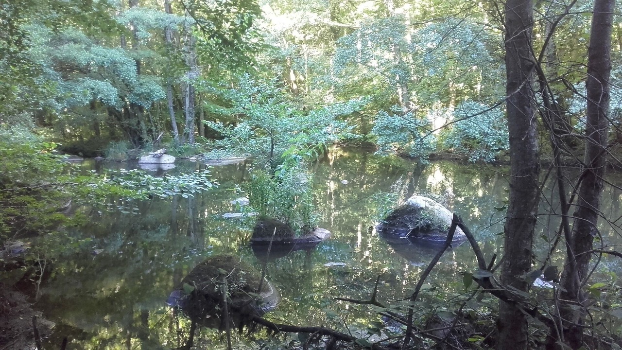 Photo of Outdoor in Ferrieres