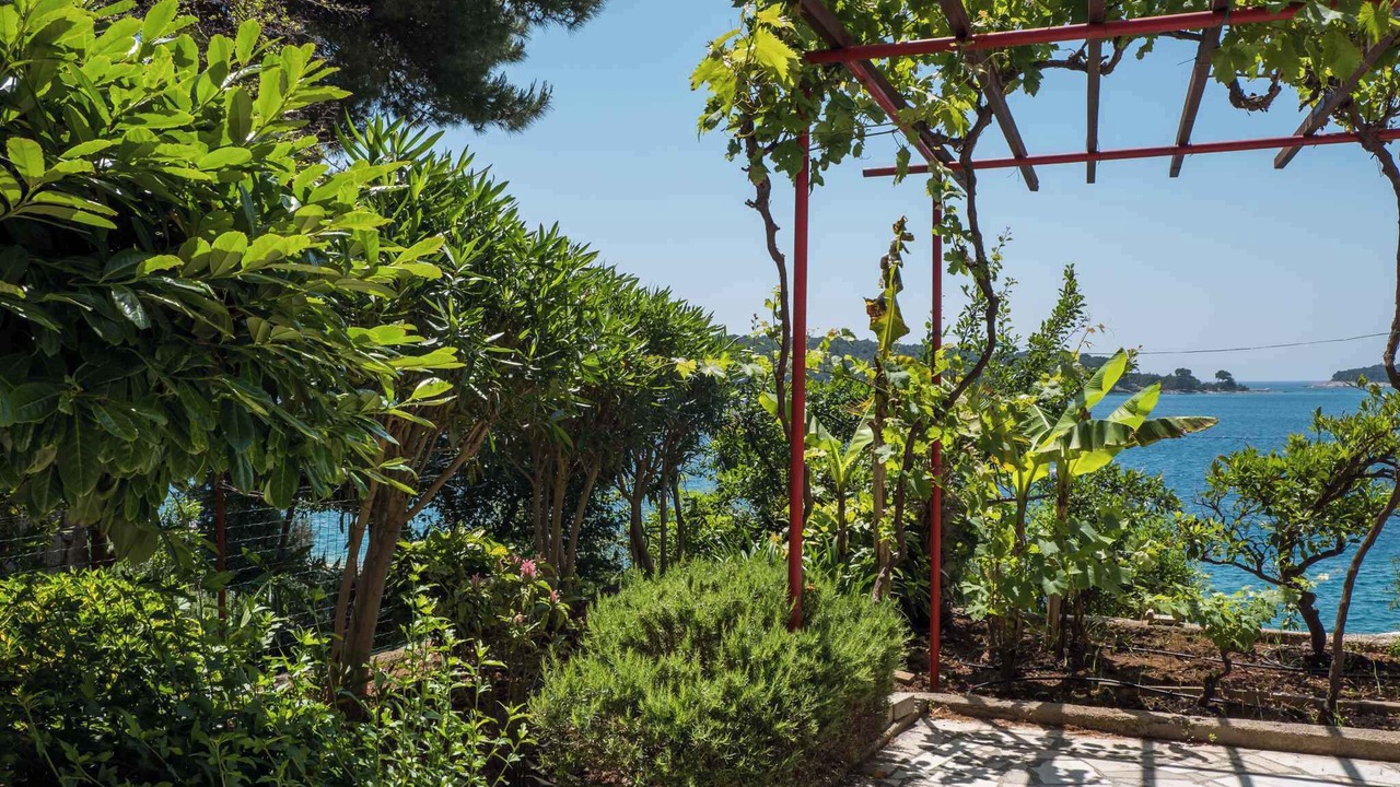 Photo of Outdoor in Cove Murtar
