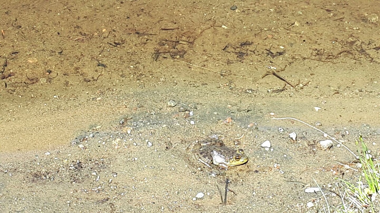 Photo of Others in Lac-Swell