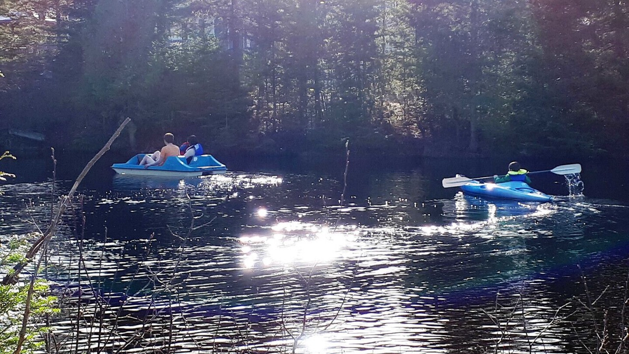 Photo of Others in Lac-Swell