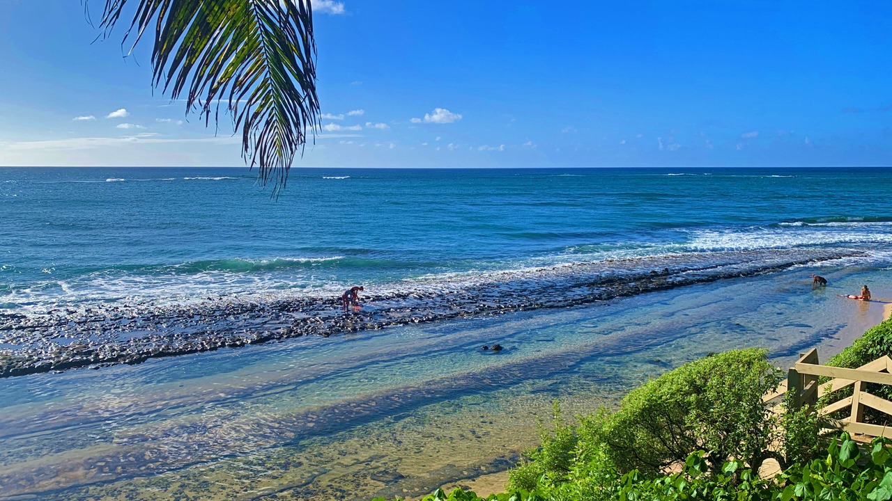 Photo of Others in Kawela Bay