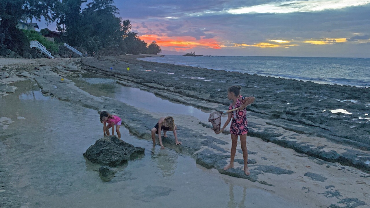Photo of Others in Kawela Bay