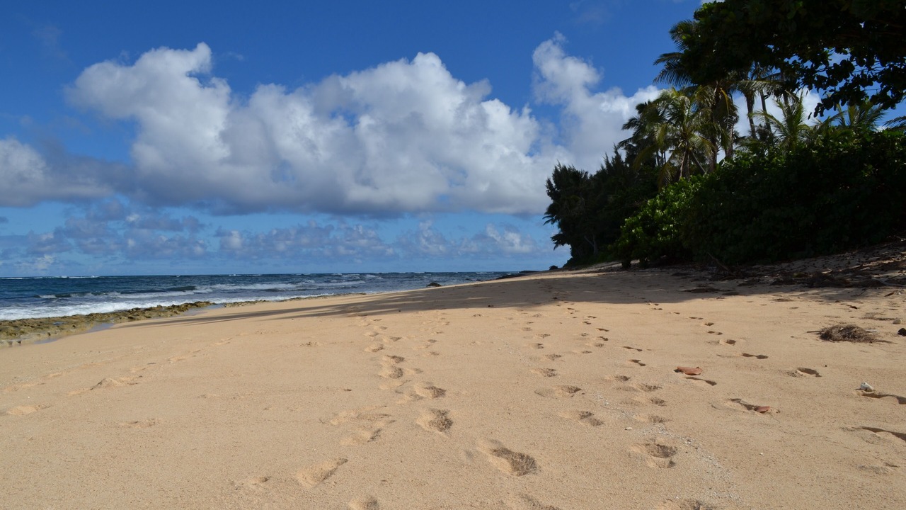 Photo of Others in Kawela Bay