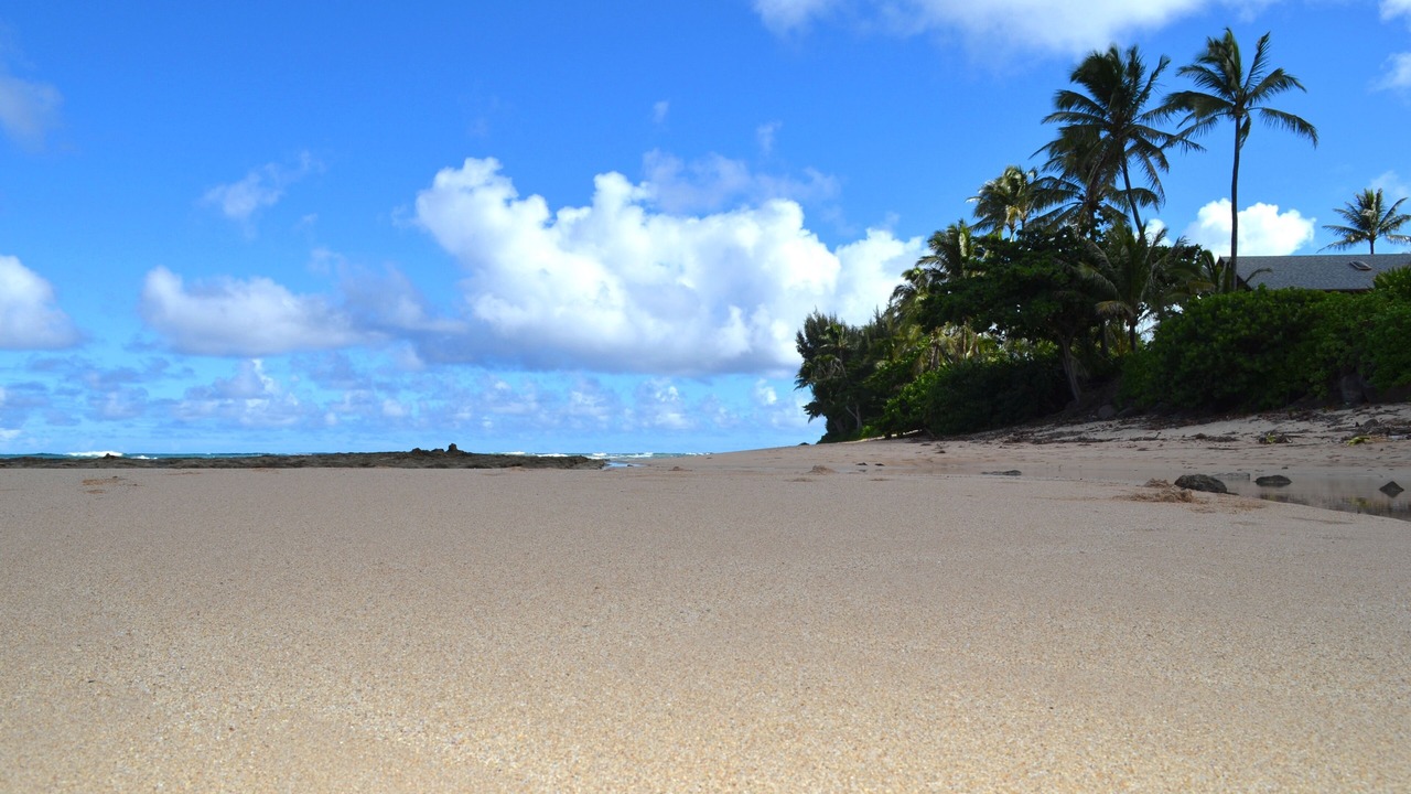 Photo of Others in Kawela Bay