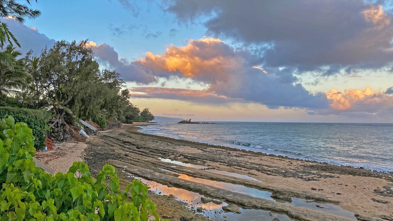Photo of Others in Kawela Bay