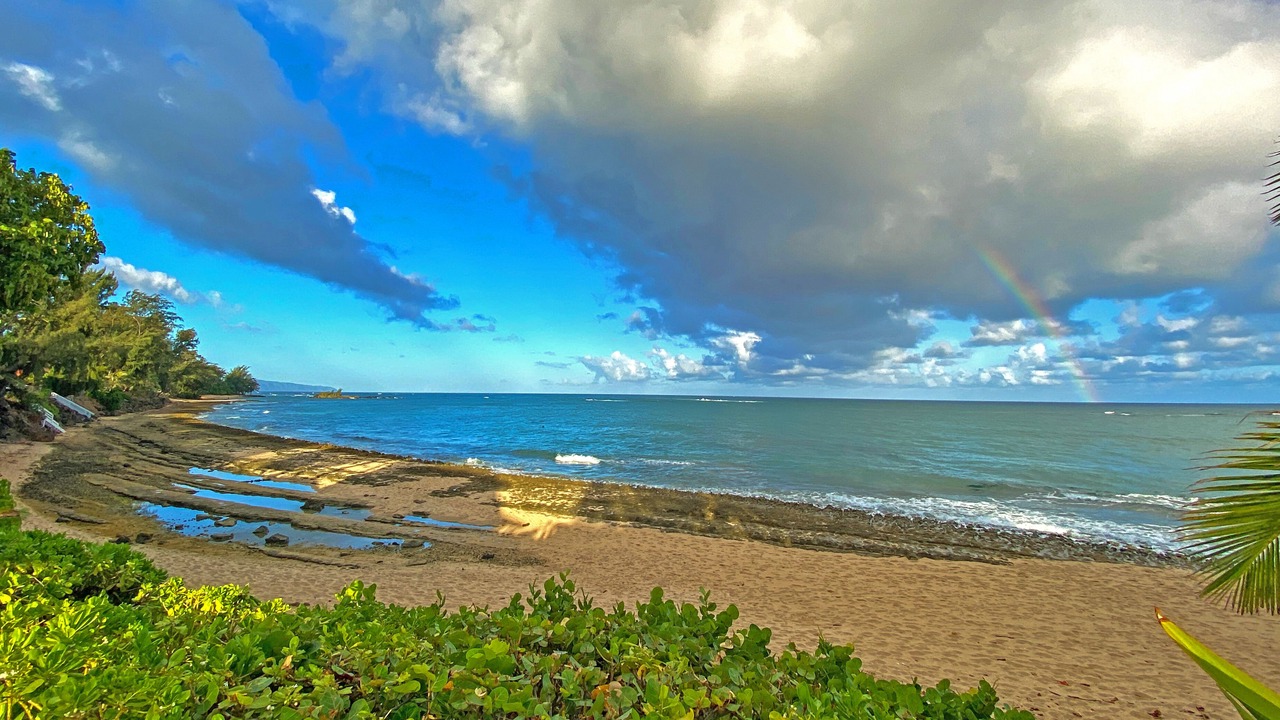 Photo of Others in Kawela Bay