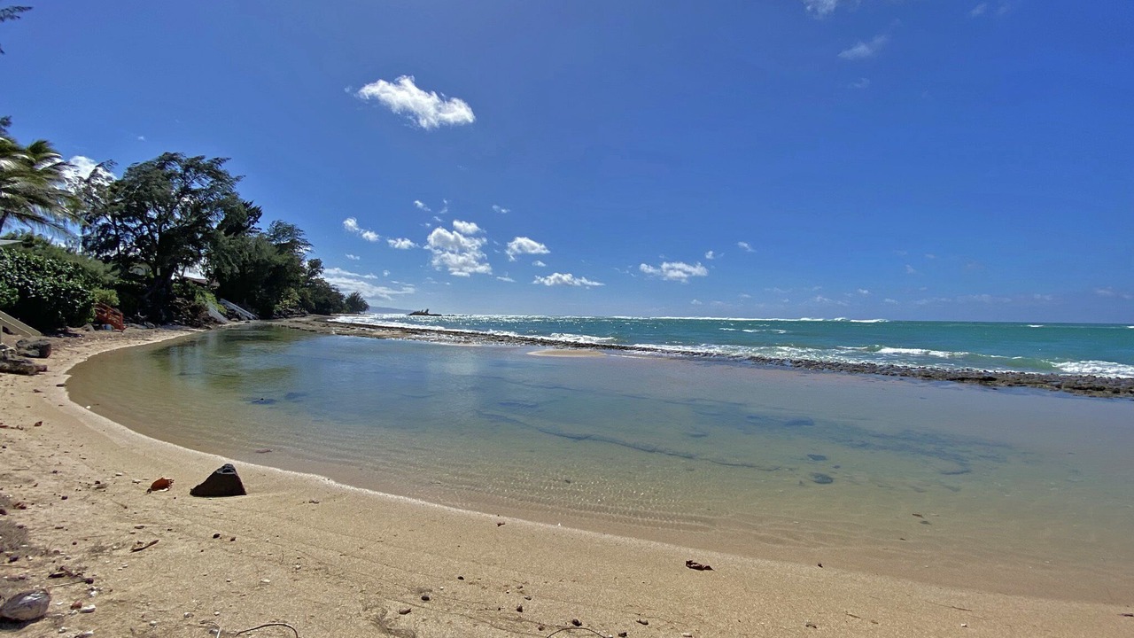 Photo of Others in Kawela Bay