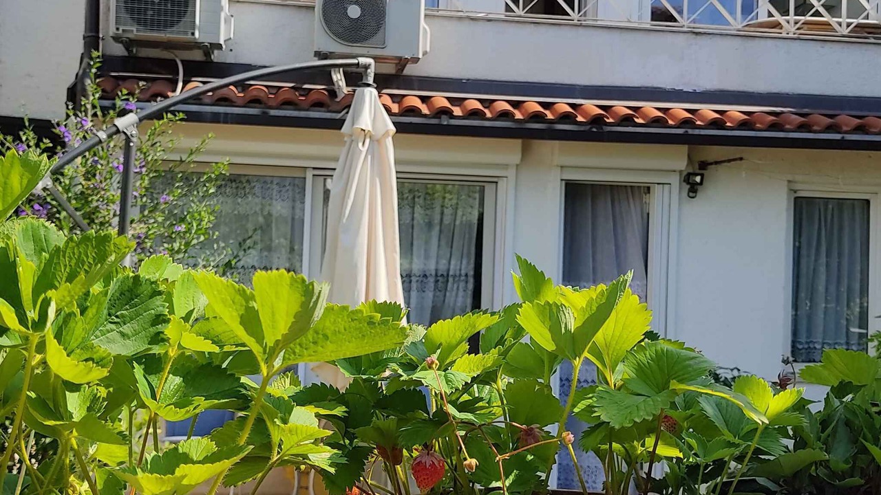 Photo of Outdoor in Brulo
