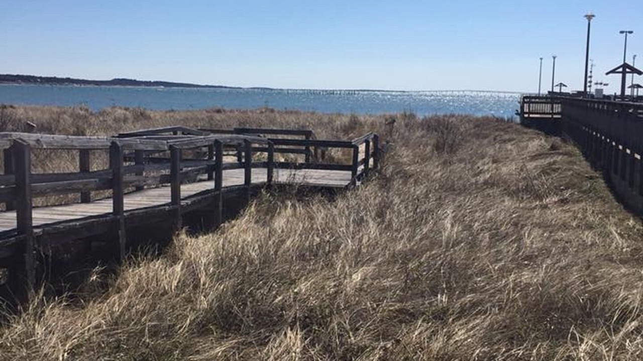 Photo of Others in Cape Charles