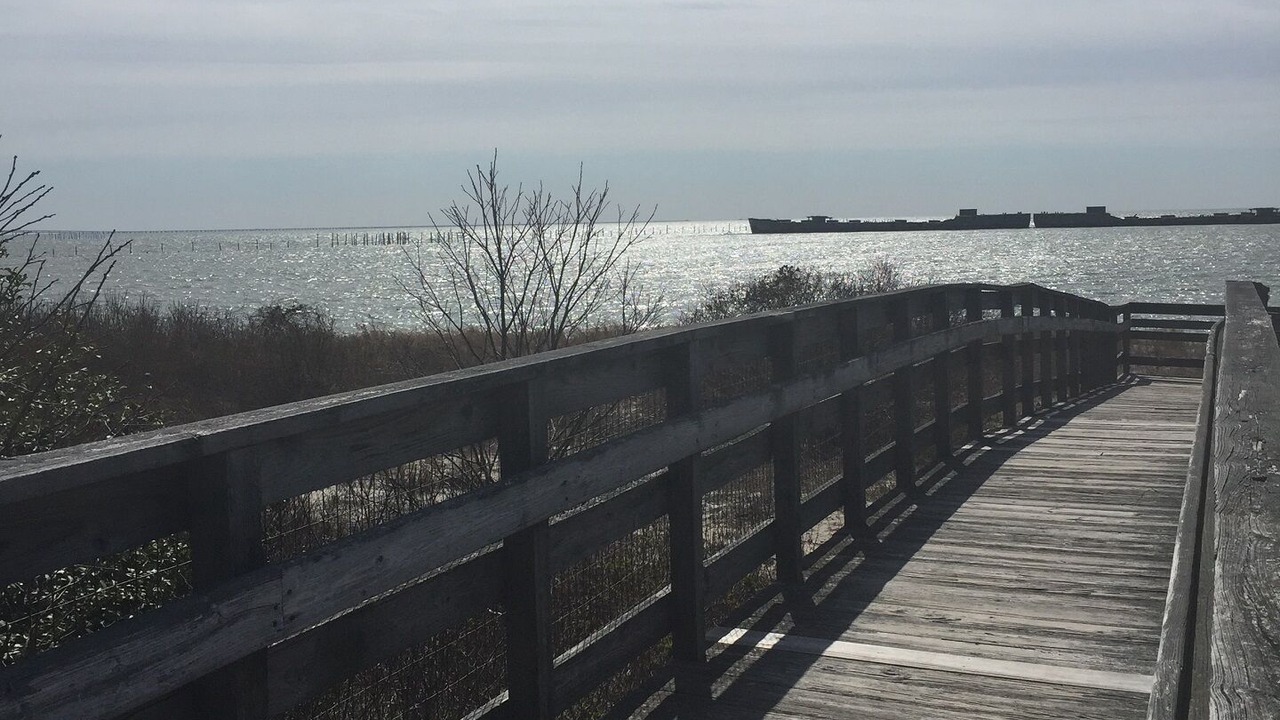 Photo of Others in Cape Charles