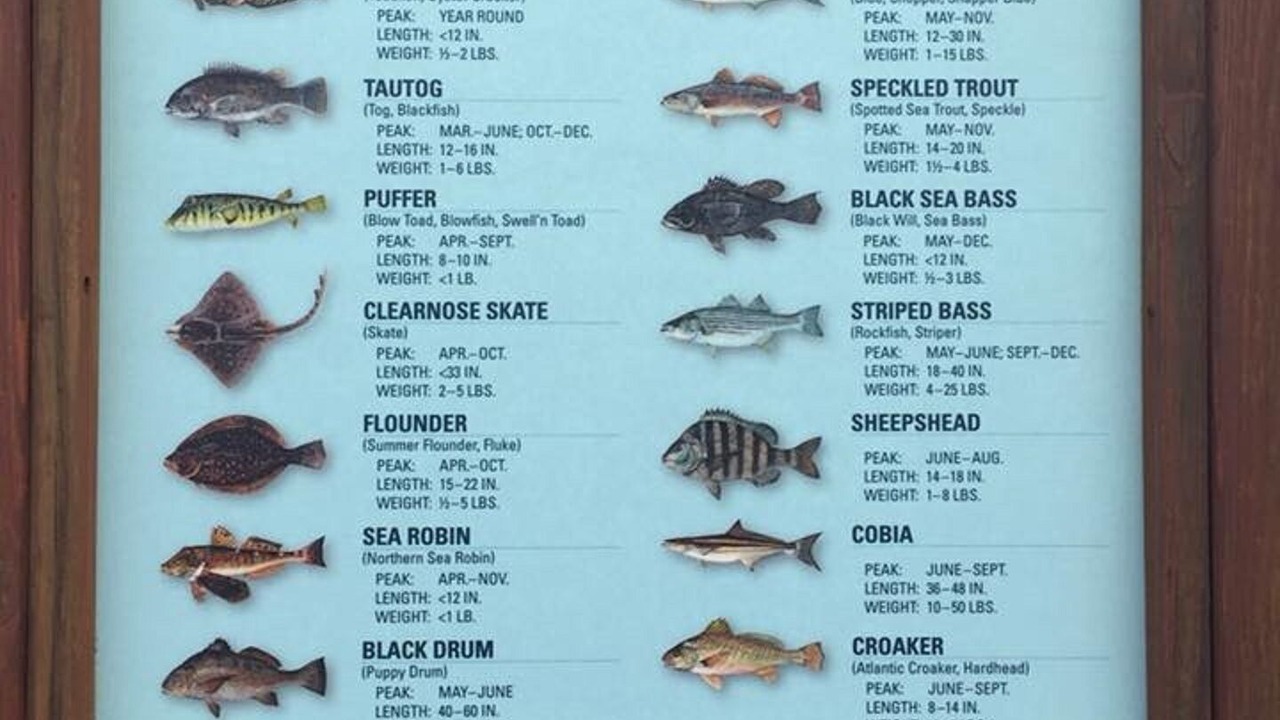 Photo of Others in Cape Charles