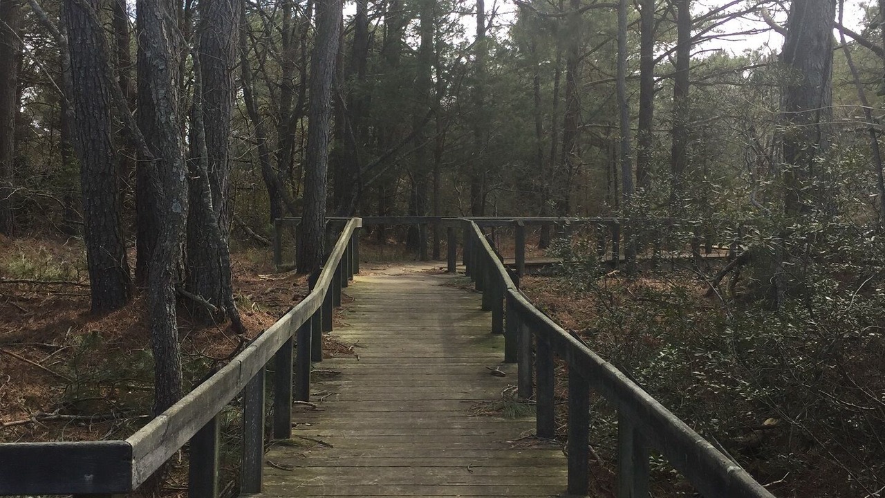 Photo of Others in Cape Charles