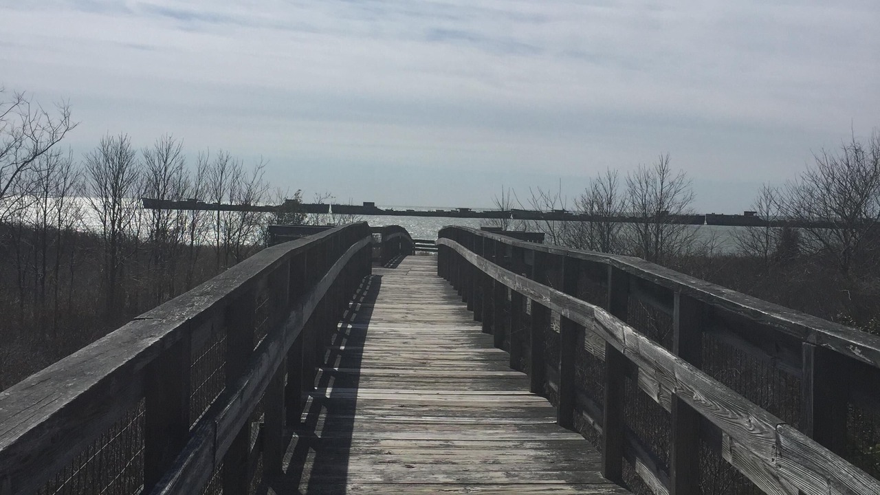 Photo of Others in Cape Charles