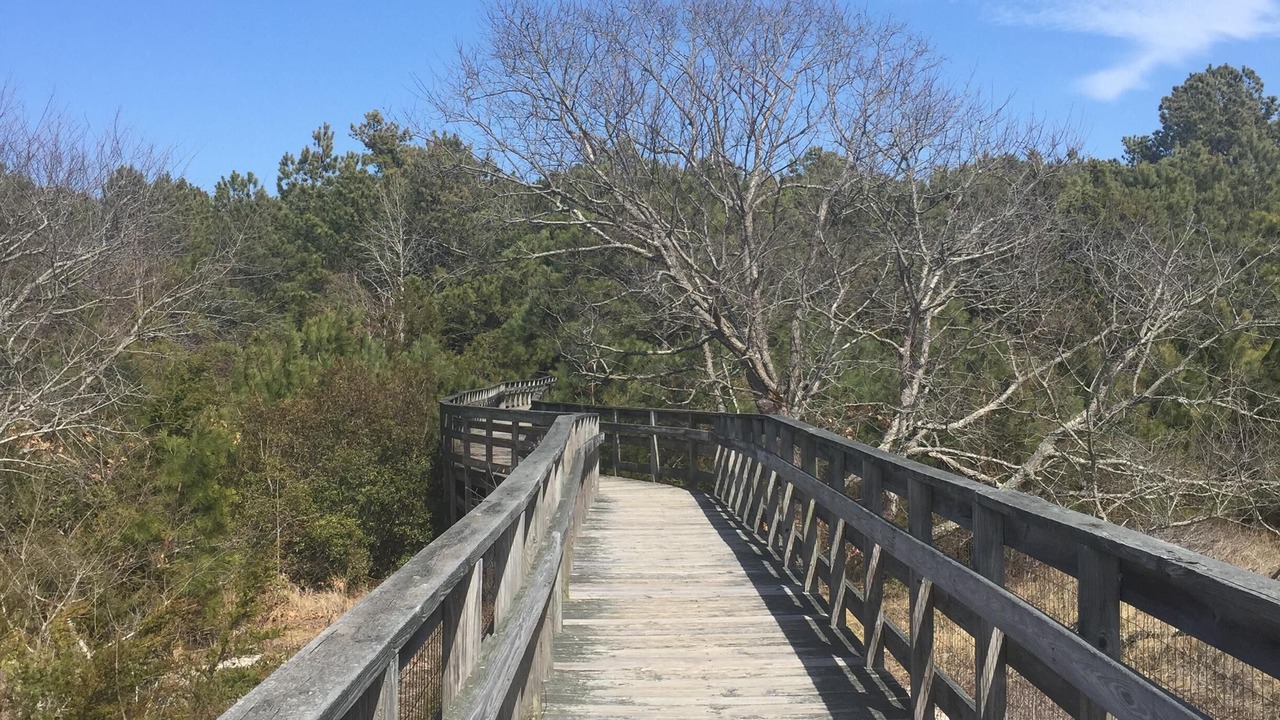 Photo of Others in Cape Charles