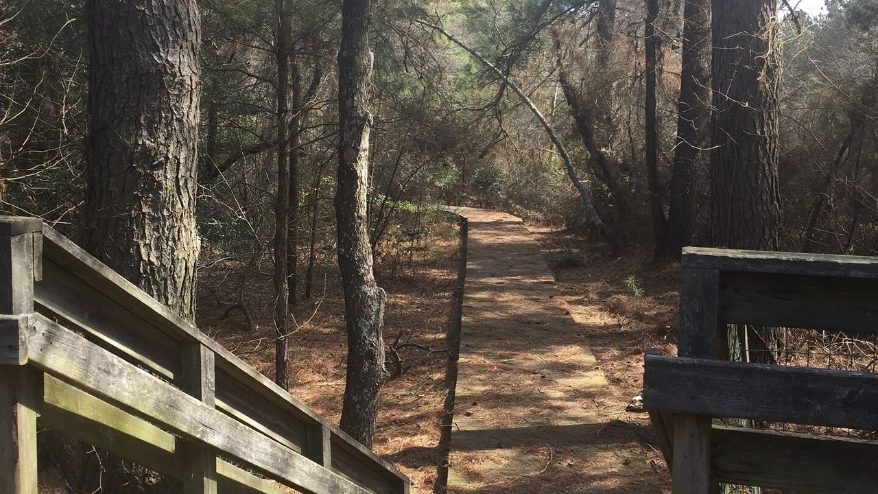 Photo of Others in Cape Charles