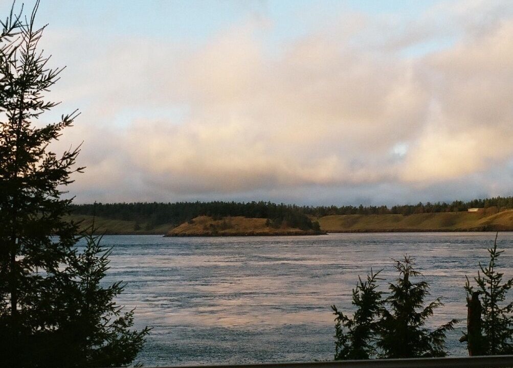 Photo of Others in Roche Harbor