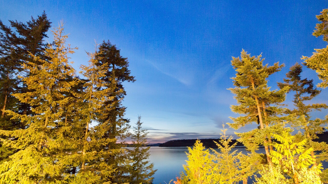 Photo of Others in Roche Harbor