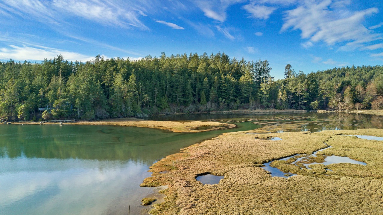 Photo of Others in Roche Harbor