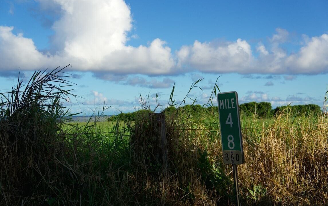 Photo of Outdoor in Puuiki
