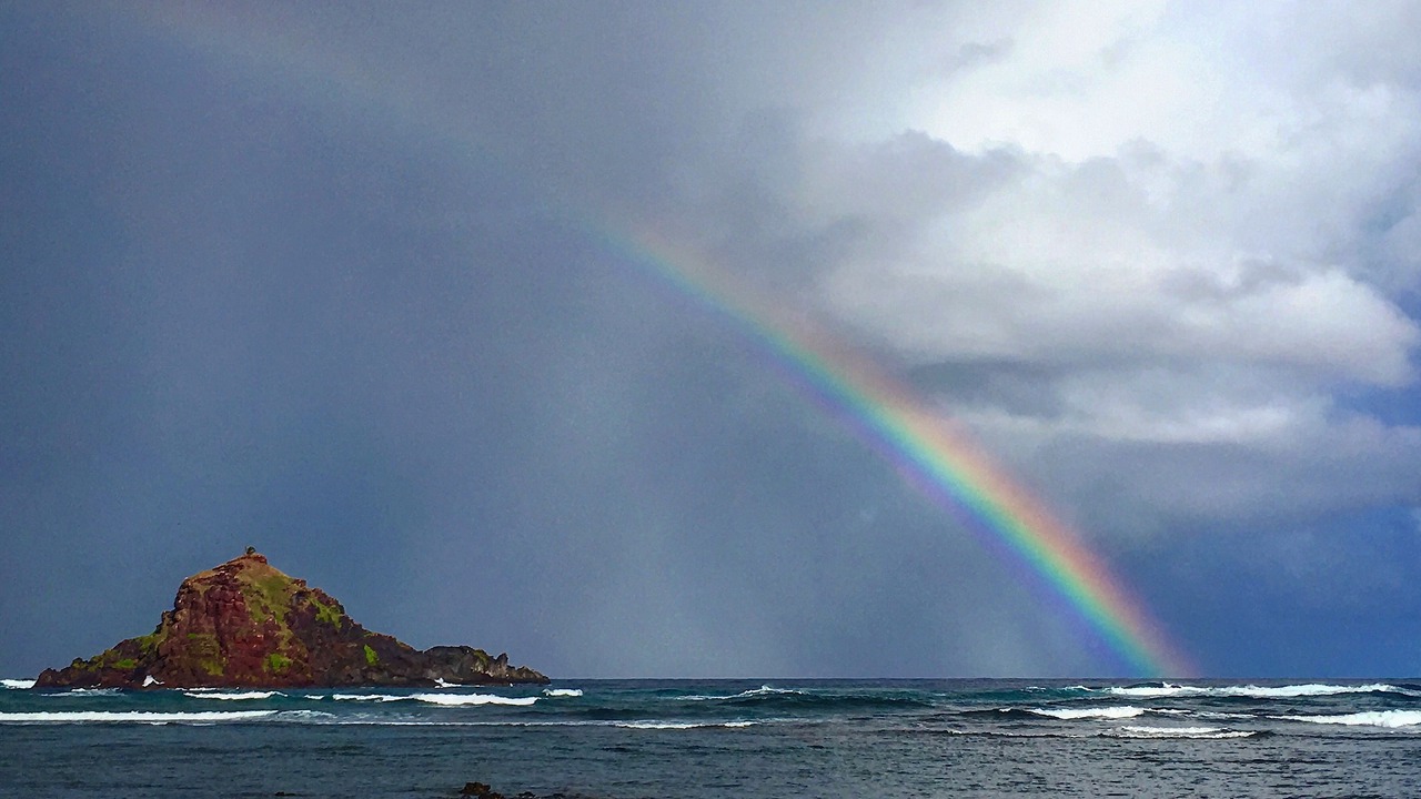 Photo of Others in Puuiki