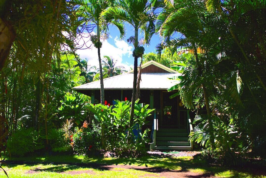 Photo of Outdoor in Puuiki