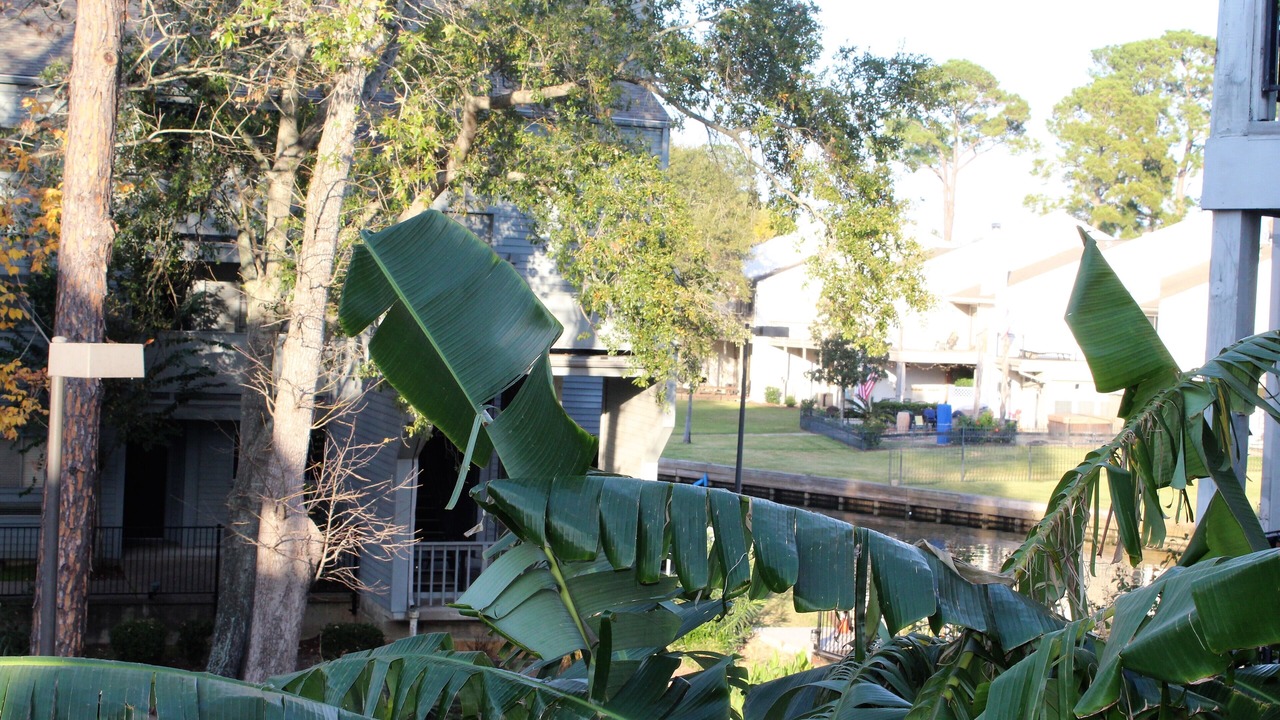 Photo of Patio Balcony in Walden on Lake Conroe