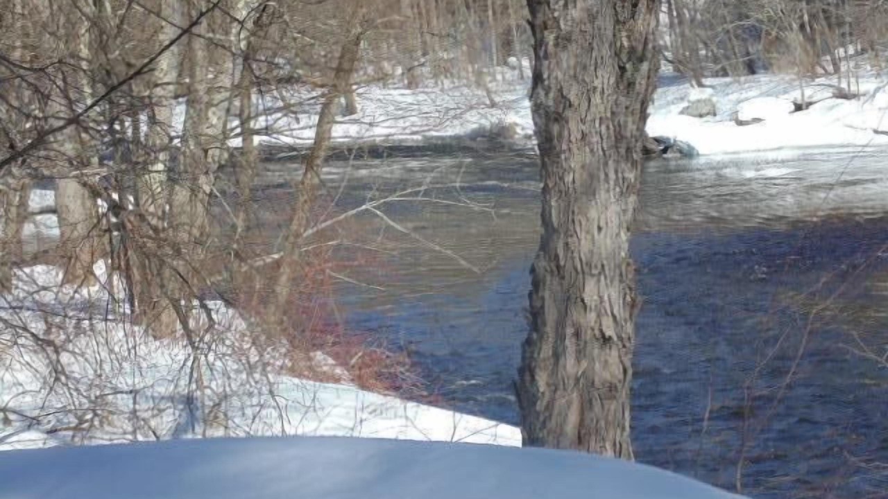 Photo of Others in Warrensburg