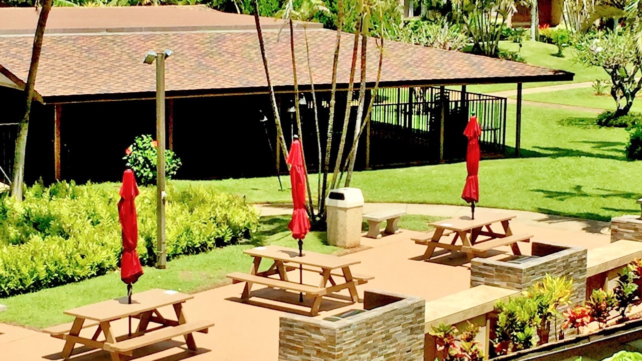 Photo of Others in Kapaa