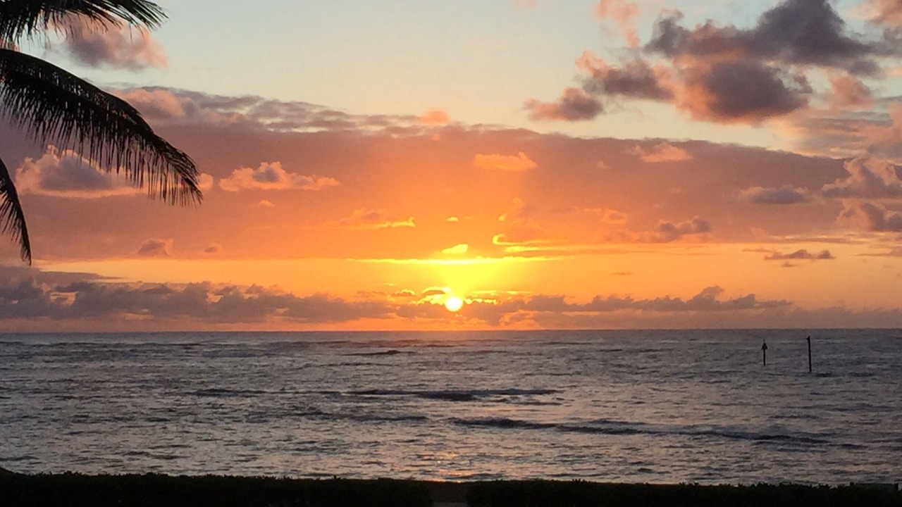 Photo of Others in Kapaa