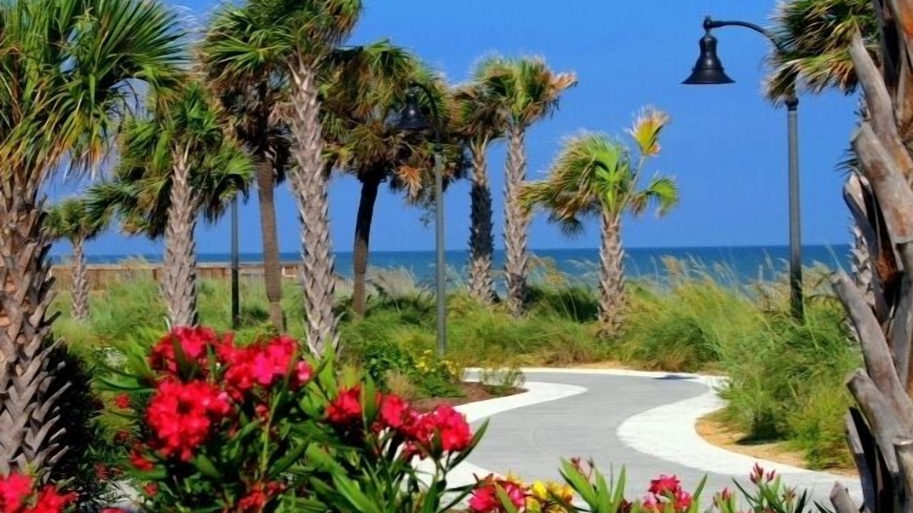 Photo of Others in North Myrtle Beach