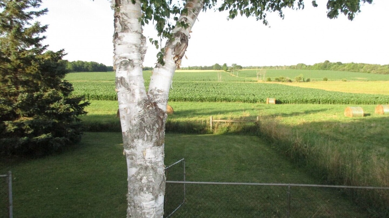 Photo of Others in Oro-Medonte