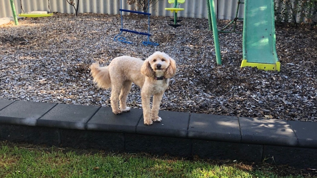 Photo of Others in Goolwa Beach